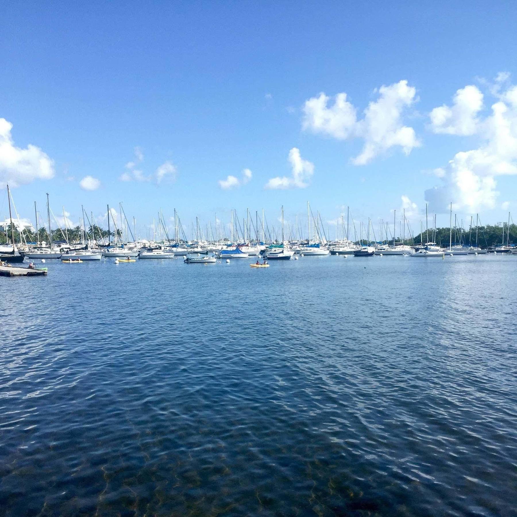 Pelicanstay In Coconut Grove Miami Coral Gables Bagian luar foto